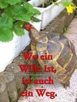 wo-ein-Wille.jpg