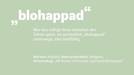 csm_Woerterbuch_gruen_blohappad_Web_1140x641px13_e95f1a752a.jpg