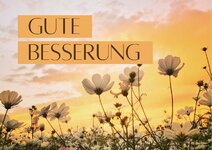 canva-gute-besserung-orange-blumen-foto-postkarte-08oP8DD58UI.jpg