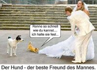 Hund-besterFreund-h.jpg