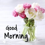 flowers-good-morning-greeting-template-design-b384a0af3f3190b0405b6c382833db90_screen.jpg