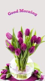 flower-bouquet-tulip-rose-good-morning-design-template-cb5515aeb3fe752c90695defbff87dce_screen.jpg