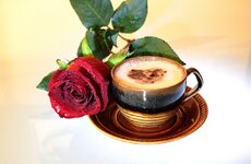 coffee-1809941_1280.jpg