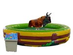 bullriding_007.jpg