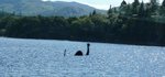 loch-ness-monster.jpg