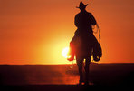 $cowboy-sunset.jpg