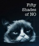 Fifty-Shades-of-NO-255x300.jpg