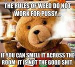 74e1797e62815399d86fc58363447ad3--the-rules-stoner.jpg