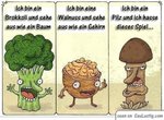 Pilz.jpg