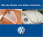 VW-KAEFERHAUBE.jpg