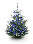 christbaum blau.jpg