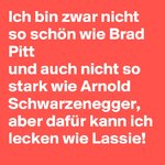 Ich-bin-zwar-nicht-so-schon-wie-Brad-Pitt-und-auch.jpg