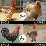 another-girls-and-boys-comparison_fb_699330.jpg