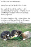 Kampfhunde töten Krokodilk.jpg