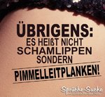 pimmelleitplanken-versauter-spruch.jpg