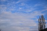 Sky_03 02 2019_2.JPG