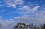 Sky_03 02 2019_3.JPG