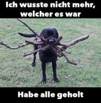 hund hölzchen.jpg