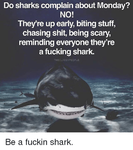 do-sharks-complain-about-monday-no-theyre-up-early-biting-19162446.png