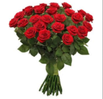 bunch-of-25-red-roses-500x500.png