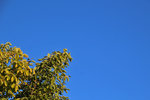 Himmel1209-2.jpg