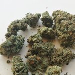 hanfbluetencbd_offen_600_1.jpg