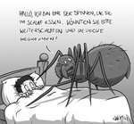 spinne_im_schlaf_essen_2933445.jpg