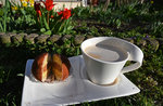 KaffeeBlume1503.jpg