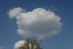 Wolke0404.jpg