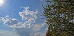 WolkenKirschbaum1304.jpg