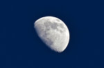 Mond2-0205.jpg