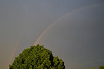 Regenbogen1005-5.jpg