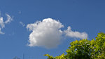 WOlken2005-2.jpg