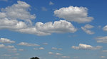 WOlken2005-3.jpg