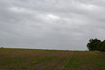 Wolken3105-1.jpg