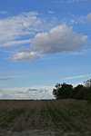 Wolken0206-2.jpg