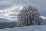 Gie-Schnee-0412-1.jpg