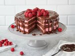 schoko_himbeer_torte_66100.jpg