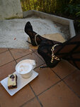 HeelsCoffee-1510-1.jpg