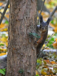 Schoenbrunn-0111-6.jpg