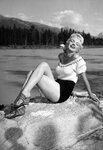 marilyn-monroe-1954.jpg