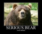 $serious-bear.jpg