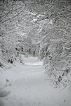 Schnee-Gump-0912-1.jpg