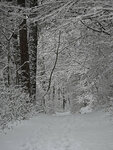 Schnee-Gump-0912-2.jpg