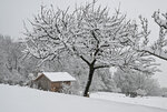 Schnee-Gump-0912-3.jpg