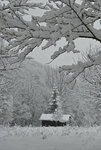 Schnee-Gump-0912-4.jpg