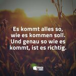 es-kommt-alles-so-wie-es-kommen-soll-und-genau-so-wie-es-kommt-ist-es-richtig.jpg