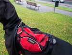 2015.Oktober.Rucksack-1-7.jpg