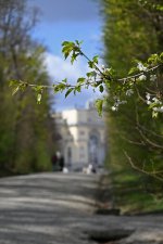 Schoenbrunn-1004-1.jpg