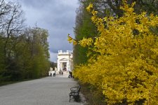 Schoenbrunn-1004-2.jpg